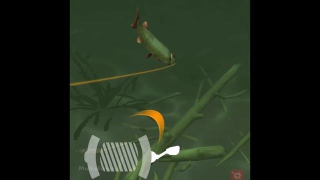 Monster Muskellunge - Rapala Daily Catch смотреть онлайн