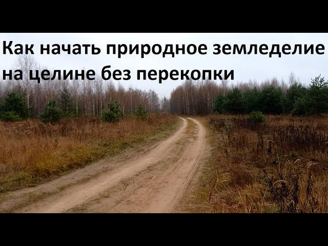 Целина-природное земледелие от А до Я. смотреть онлайн