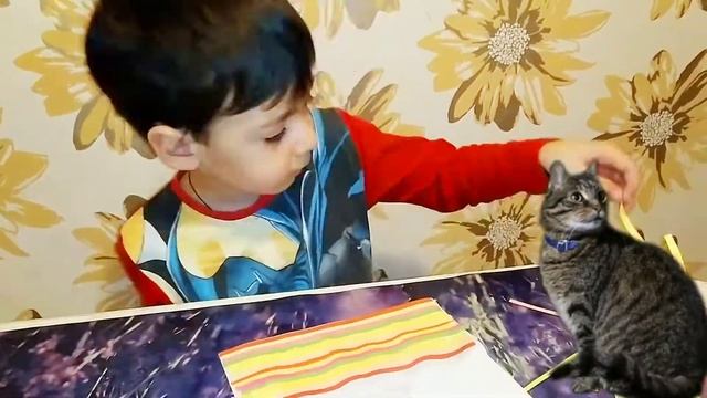 Радужная кошка смотреть онлайн