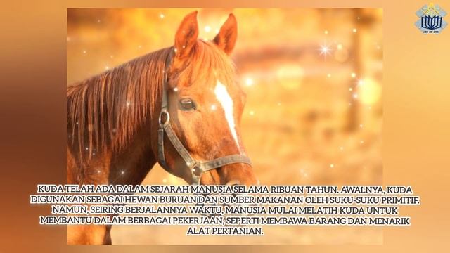 History And Unique Things In Horses | Sejarah & Hal Unik Pada Kuda | Cari Hal Unik,