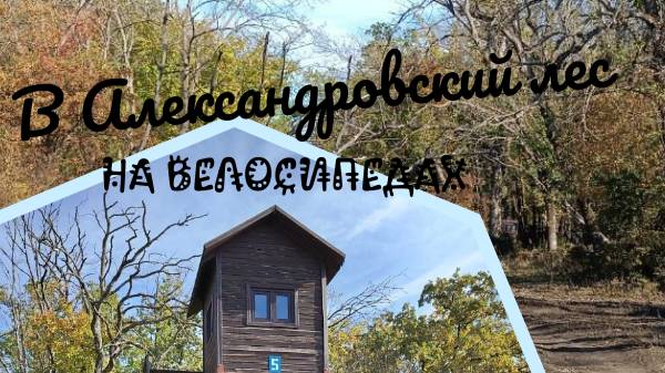 В Александровский лес! На велосипедах!