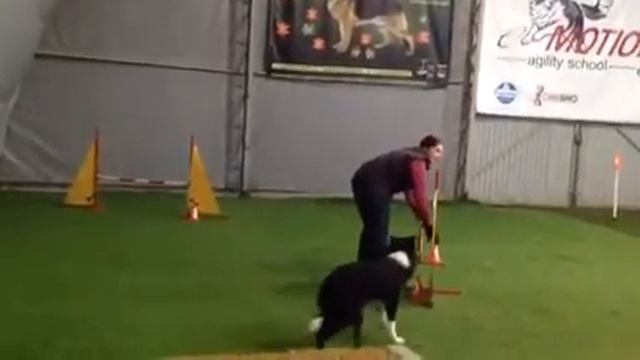 Света манеж трасса 14ок смотреть онлайн