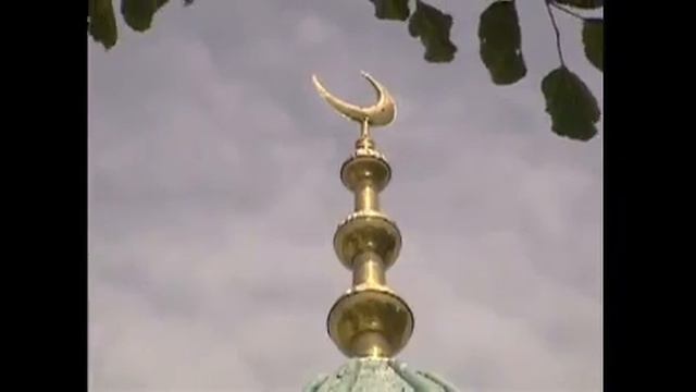 Төле би смотреть онлайн