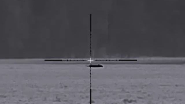 Охота на волка Беларусь смотреть онлайн