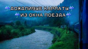Дождь в Карпатах, 4 виадука, стук колёс и умиротворение |Участок Яремче - Вороненко из окна поезда.