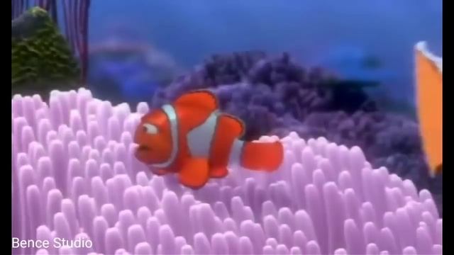 Finding Nemo-Barracuda Speed смотреть онлайн