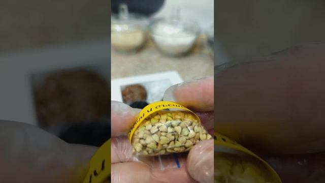 Конфеты из пророщенной зелёной гречки 