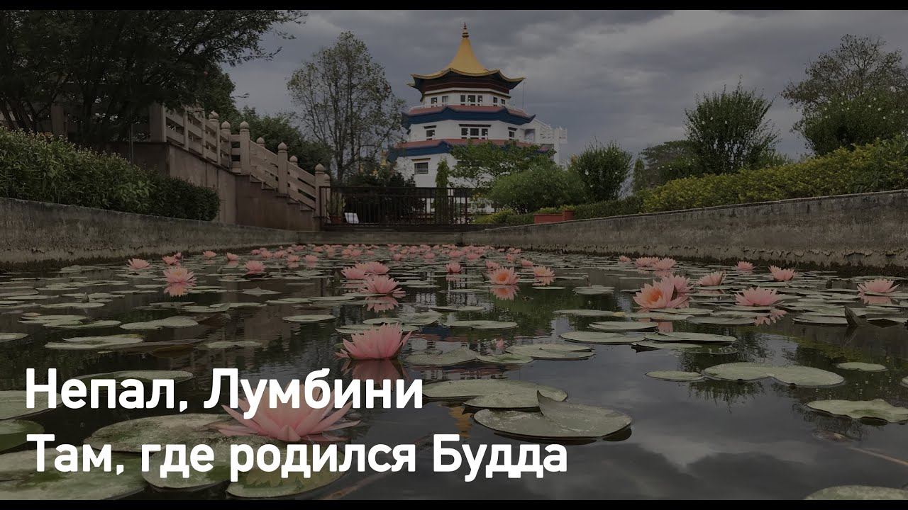 Прогулка по Лумбини смотреть онлайн