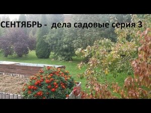 Сентябрь - дела садовые серия №3