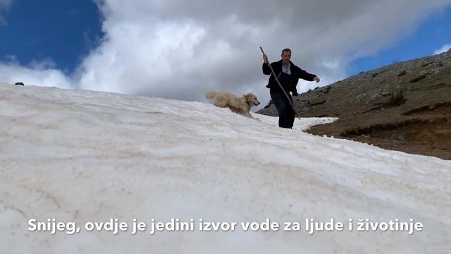 Sinjajevina 4K смотреть онлайн
