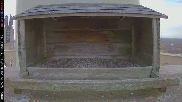 Camera 5 - 11/19/16 смотреть онлайн