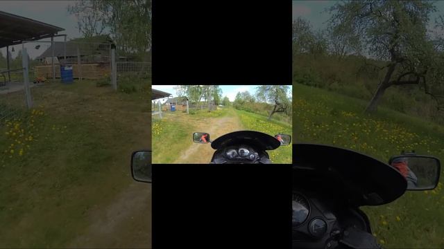 на кавасаки ззр 1100 от собак смотреть онлайн