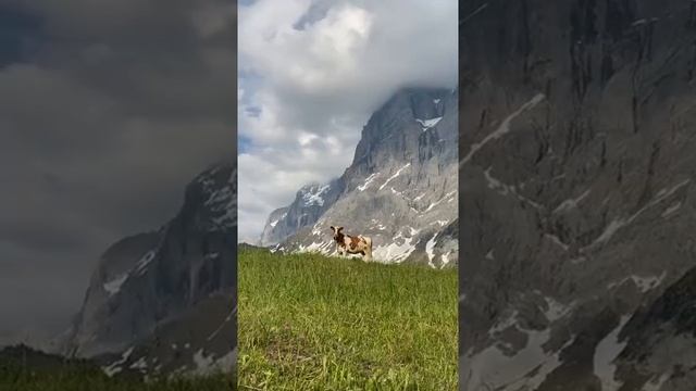 Красота природы смотреть онлайн