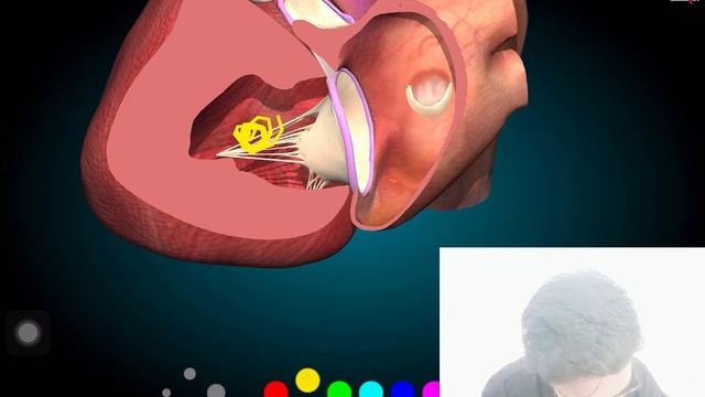 #pressure volume curve # mitral stenosis #usmle #inicet #neetpg2023#cardiovascular system смотреть онлайн