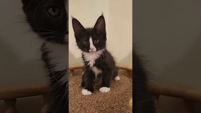 Quarts, 9 недель смотреть онлайн