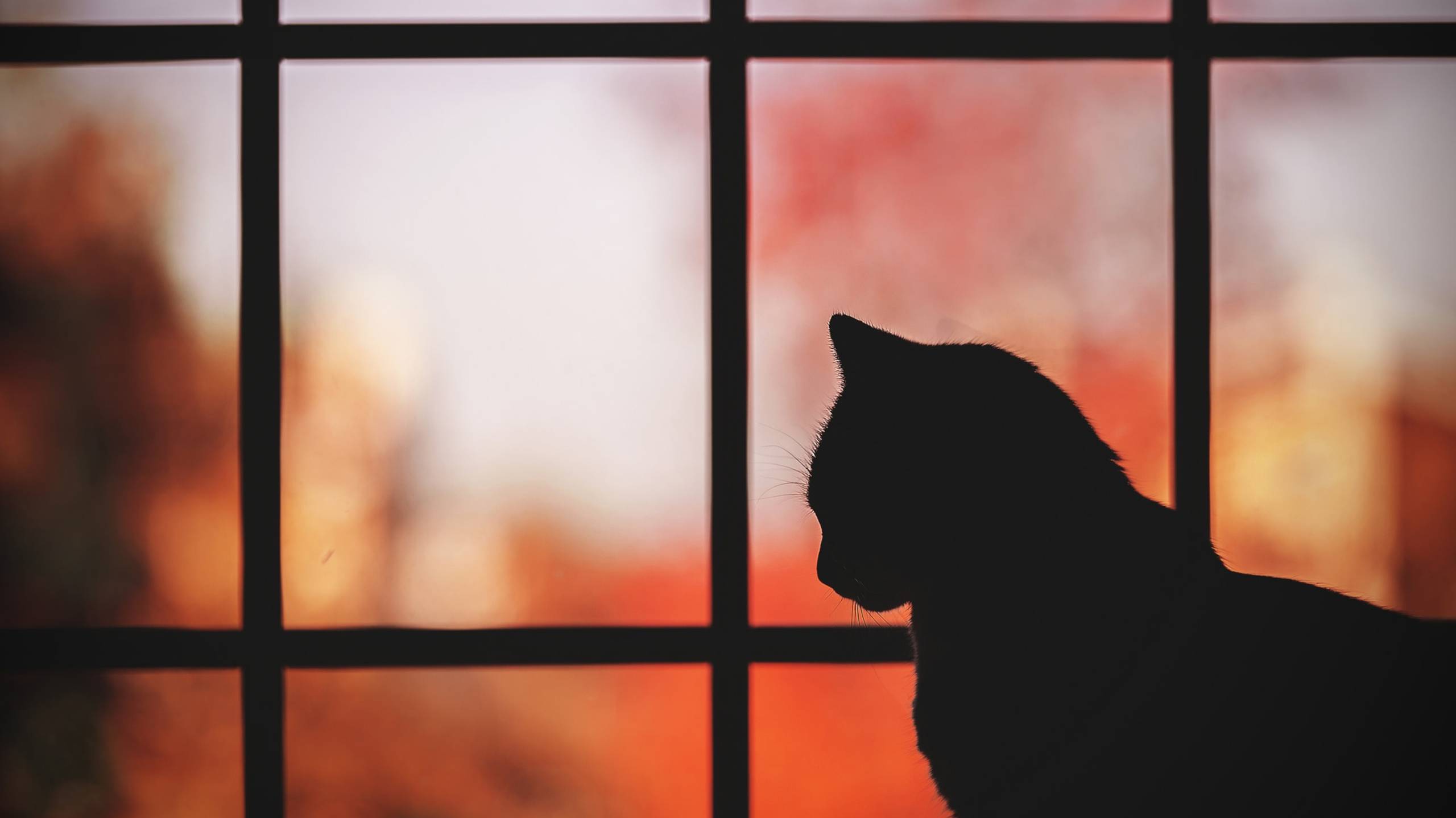 Расслабляющий микс Deep House & Downtempo Jazz