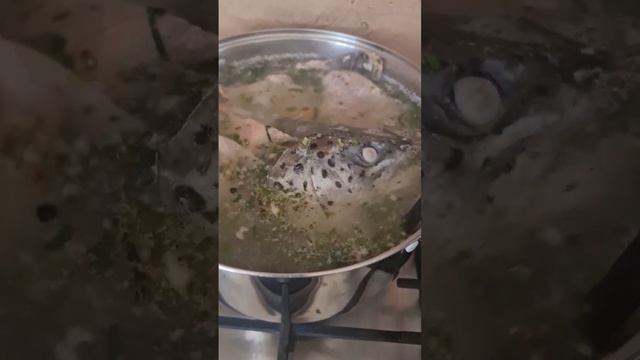 Вкусный обед... уха #food #топ #рекомендации #обед #уха #рыбка смотреть онлайн