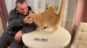 Макарошки со своей тушёночкой! Ужин - за уши не оттащишь😋