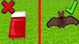 ЭТО НОВЫЙ БЕД ВАРС ТОЛЬКО БЭТ ВАРС! МАЙНКРАФТ