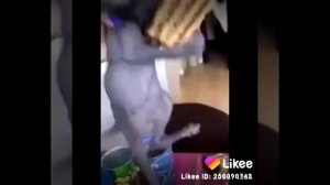 Кот Толя