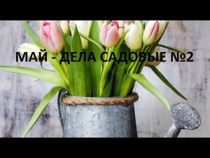 май - дела садовые №2