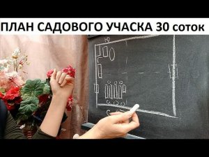 План садового участка 30 соток.