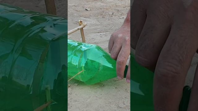 Amazing Bird Trap With Plastic Bottle #shorts #birds #birdtrap #shortvideo #pigeon смотреть онлайн