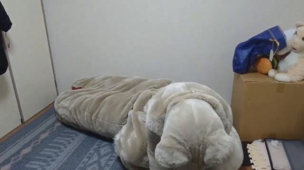 【fursuit vore】ass of vore ［着ぐるみボア］尻ボアバージョン