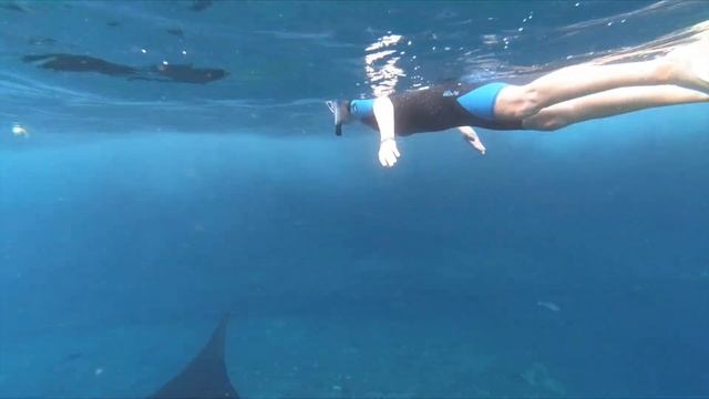 Manta Ray day on Nusa Lembongan Island in Indonesia смотреть онлайн