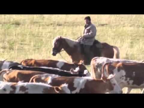 Параплан Плоское