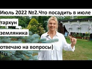 Июль 2022 №2. Что посеять в июле) Тархун не пахнет. Клубника по сортам и многое другое.