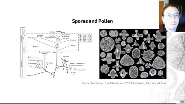 Microfossils, Video 5 - EART27201 - Sedimentary Rocks and Fossils смотреть онлайн