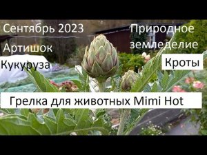 Сентябрь 2023. Природное земледелие.