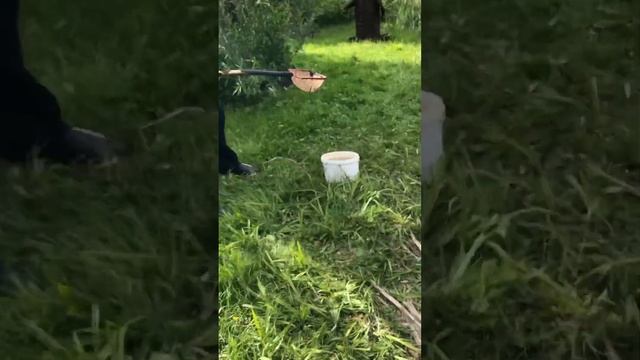 Ловим гуппи 🐠🌴 смотреть онлайн