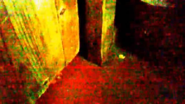 Уральские кошки настолько суровы... смотреть онлайн