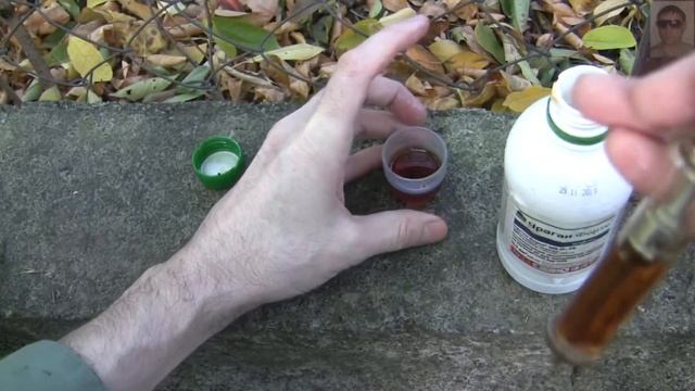 Дикая природа: Животная история