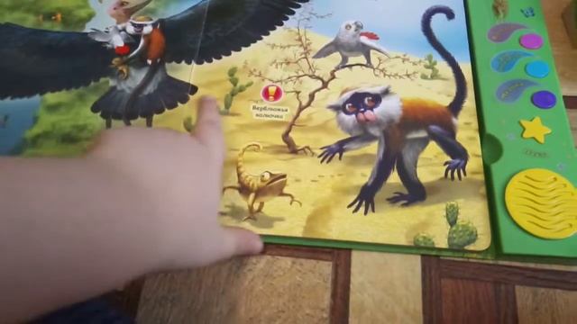 азбукварик царь зверей смотреть онлайн