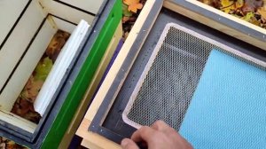 Мои сетчатые донья