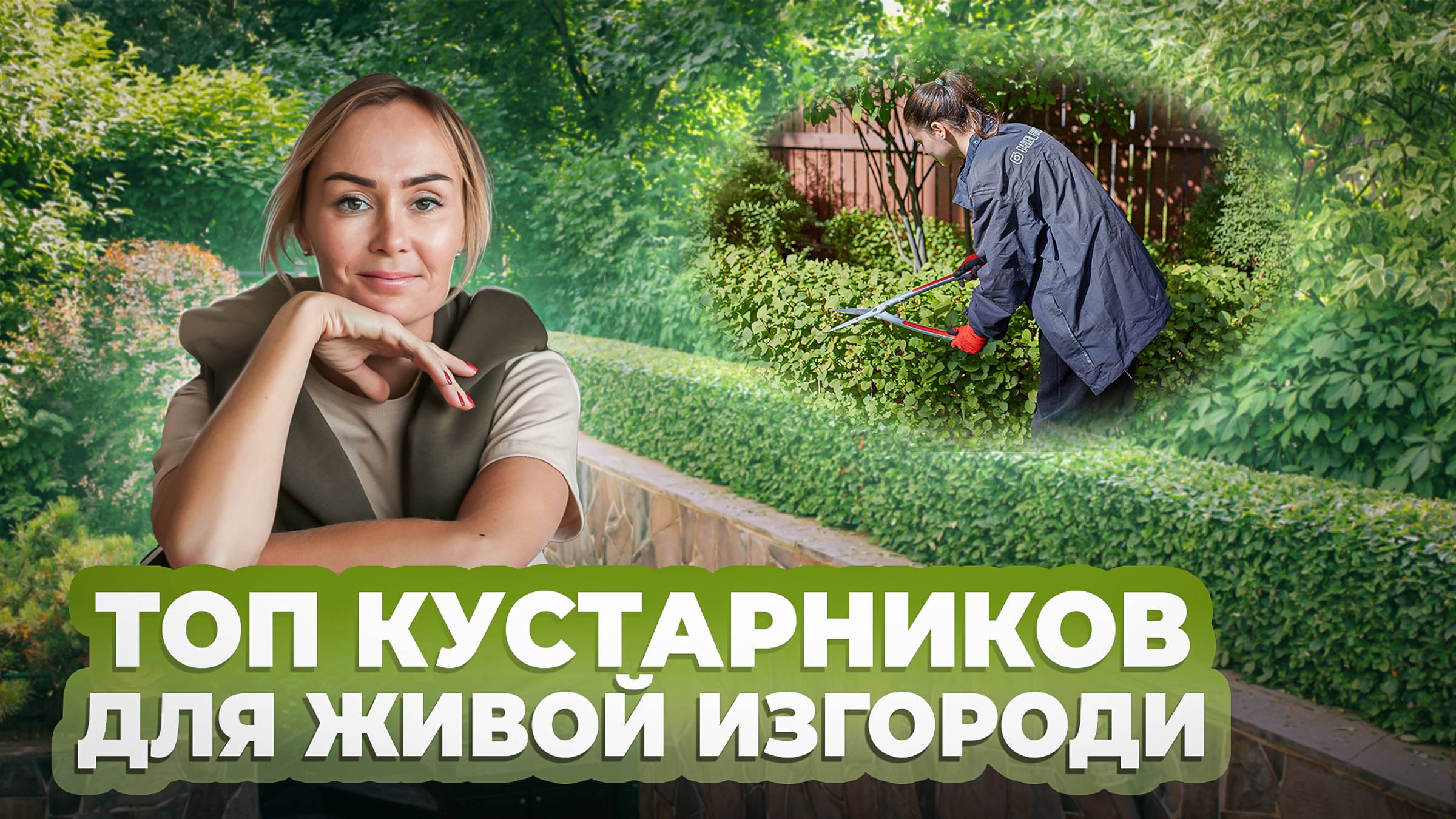 Топ кустарников для живой изгороди смотреть онлайн