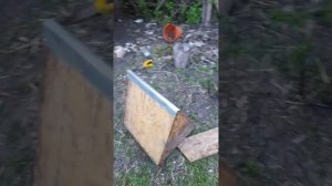 гнездо  для фазанов