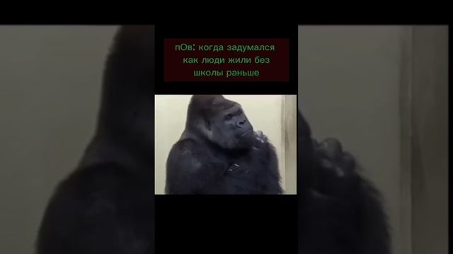 #смех #ржака #юмор #мемы #жиза #прикол #весело #шутки #short #лол смотреть онлайн