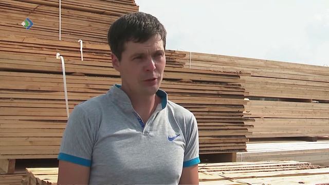 Доплаты работодателям стабилизировали ситуацию на рынке труда смотреть онлайн