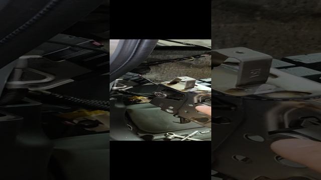 1000138168.mp4 смотреть онлайн