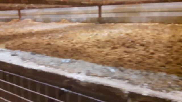 ЦЫПЛЯТА В БРУДЕРАХ смотреть онлайн