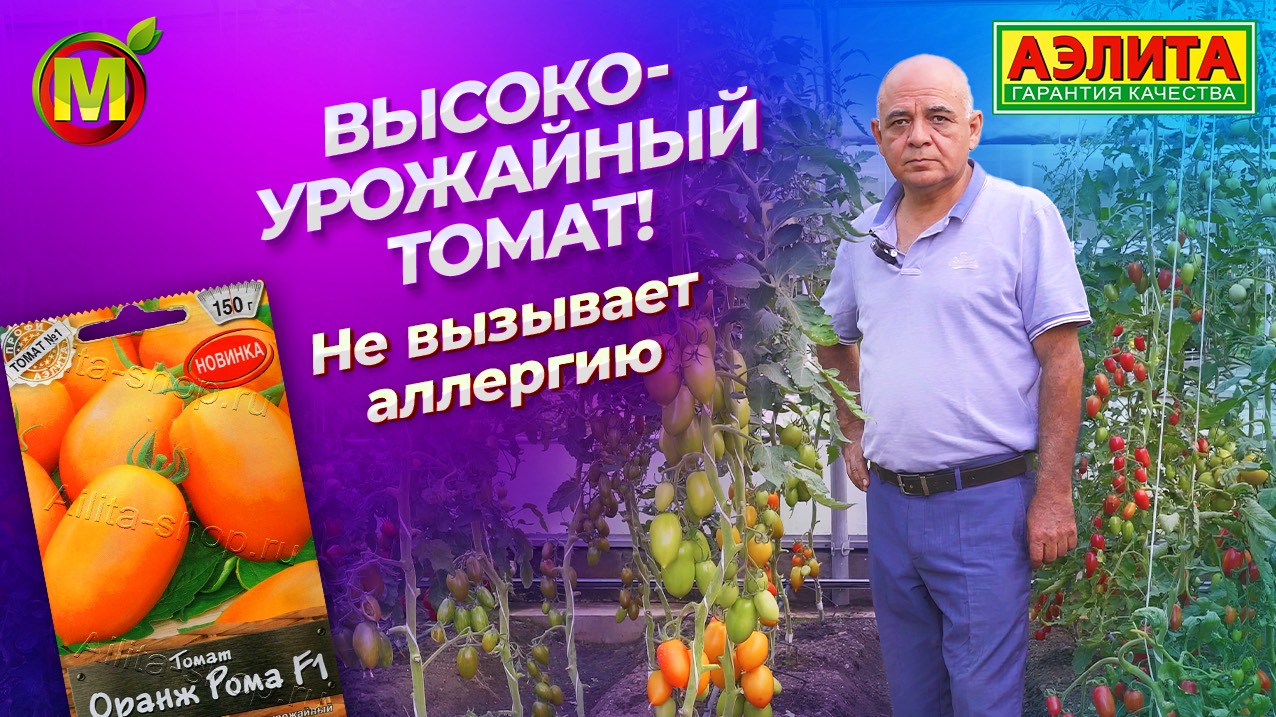 Этот томат не вызывает аллергии! Высокоурожайный гибрид ОРАНЖ РОМА F1 смотреть онлайн