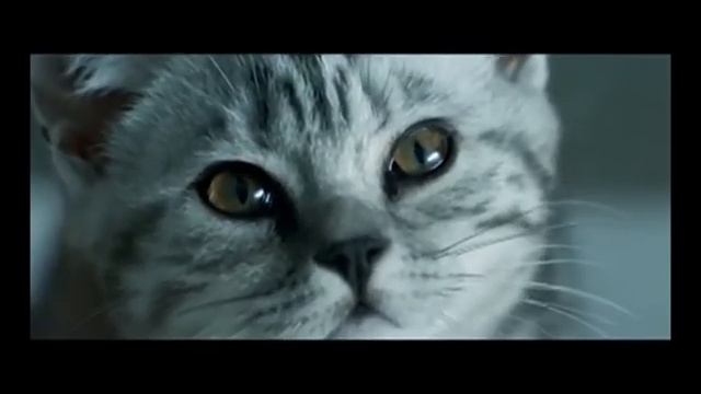 РЕКЛАМА VISKAS смотреть онлайн