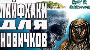 Как новичку выжить в day r survival .  Советы для новичков day r survival