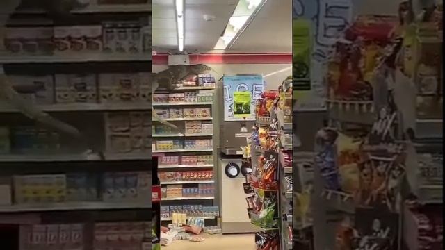 Варан закупается в магазине #shorts смотреть онлайн