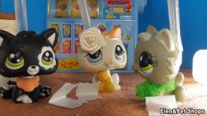 LPS: ЦЫГАНКА 12 серия