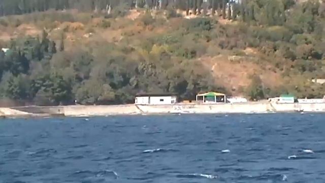 MOV021 смотреть онлайн